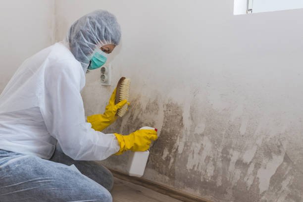 Best Crawl Space Mold Removal  in Iselin, NJ