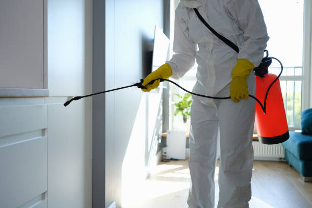 Best Professional Mold Removal  in Iselin, NJ